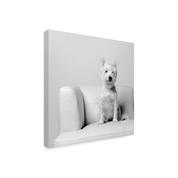 Edward M. Fielding 'White On White Dog' Canvas Art,14x14